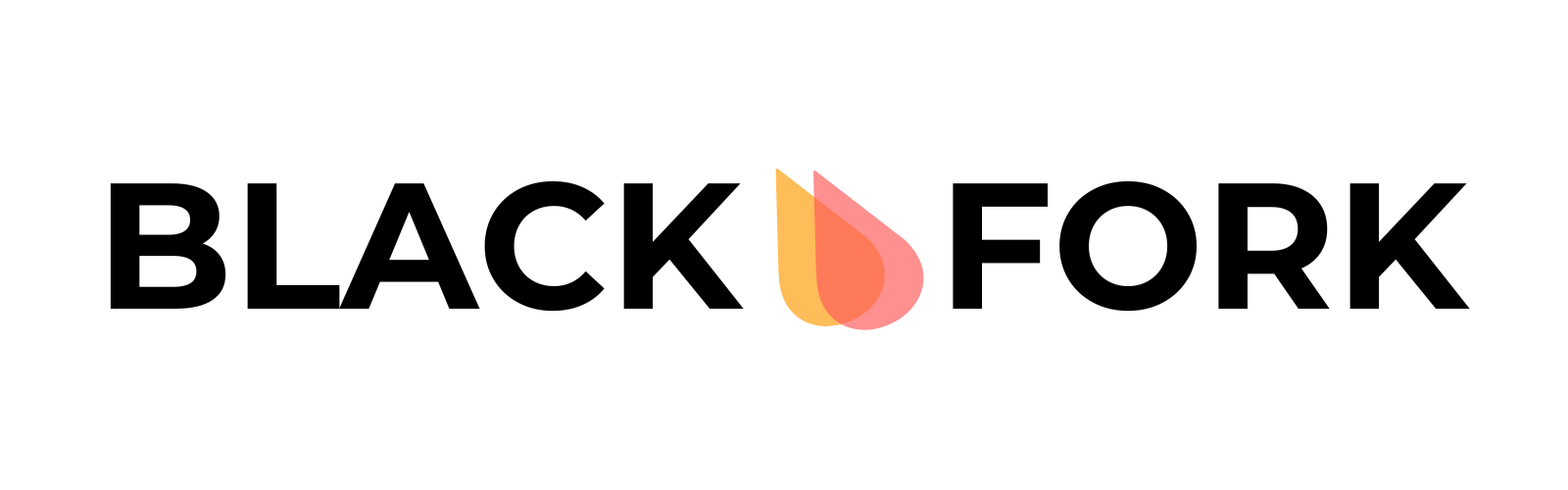 http://Black%20Fork%20Investments